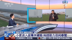 央视高频聚焦！解码安徽阜南农业“五次