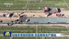加强冬季田间办理 夯实粮食出产根本