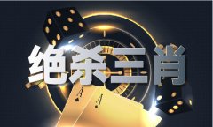 清雨剑挑码帮手20200125V